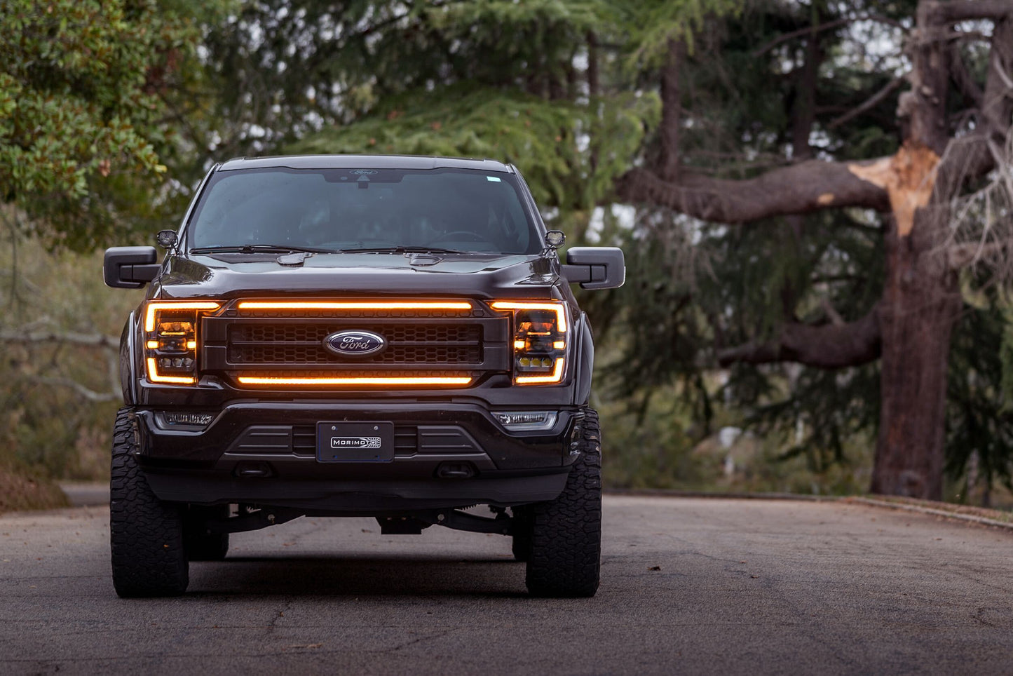 XBG LED Grille: Ford F150 (2021+) (Chrome Finish / Amber DRL)
