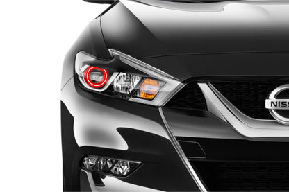 Nissan Maxima (15-17): Profile Prism Fitted Halos (Kit)